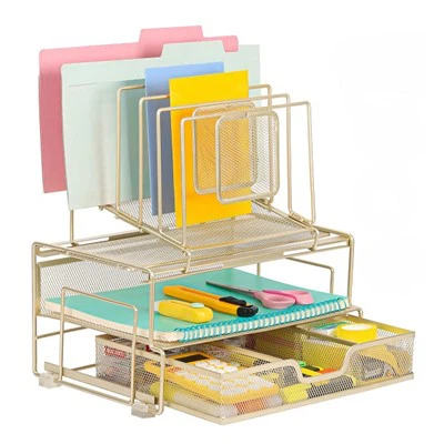 Wire Mesh File Organizer
